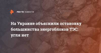 Иван Крулько - На Украине объяснили остановку большинства энергоблоков ТЭС: угля нет - ren.tv - Украина - Киевская обл.