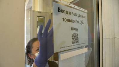 Власти Приамурья расширят действие системы QR-кодов - iz.ru - Израиль - Белогорск - Благовещенск - Шимановск