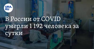 В России от COVID умерли 1 192 человека за сутки - ura.news - Москва - Россия - Санкт-Петербург - Московская обл.