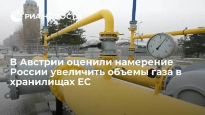 Владимир Путин - Алексей Миллер - Глава МИД Австрии оценил намерение России увеличить объемы газа в хранилищах Европы - smartmoney.one - Австрия - Россия - Германия