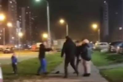 Полиция проверит видео с нападением кавказцев на отца с ребенком в Новой Москве - lenta.ru - Москва