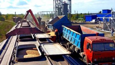 Правительство будет доплачивать за доставку сельхозпродукции в регионы с её дефицитом - eadaily.com - Россия - Крым - Севастополь