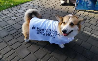 В Херсоне протестуют художники - korrespondent.net - Украина - Херсон - Запорожье