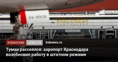 Туман рассеялся: аэропорт Краснодара возобновил работу в штатном режиме - kubnews.ru - Краснодарский край - Краснодар
