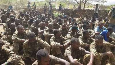 Войска Эфиопии разбегаются: личный состав сил специального назначения переходит на сторону Тыграя - free-news.su - Эфиопия