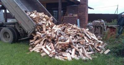 Никакого обмана: как посчитать объем дров без извлечения их из кузова грузовика - skuke.net