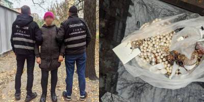 Напугала девочку смертью мамы: мошенница провернула циничную схему ради наживы - politeka.net - Украина - Черниговская обл.