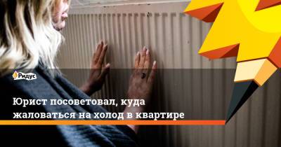 Мария Спиридонова - Юрист посоветовал, куда жаловаться на холод в квартире - ridus.ru - Россия