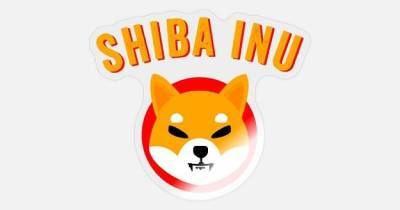Shiba Inu продолжает падение: поклонники мемной монеты обратились к Безосу - minfin.com.ua - Украина