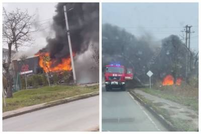 Пламя охватило грузовик с мебелью: видео ЧП под Одессой - politeka.net - Украина - Одесса - Одесская обл.