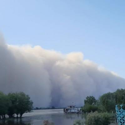 Узбекистан - Пыльная буря, накрывшая Узбекистан, достигла юга Казахстана - radiomayak.ru - Казахстан - Узбекистан - Шымкент