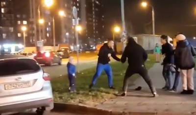 Юлия Иванова - Задержаны два подозреваемых в нападении на отца с ребенком в Новой Москве - newizv.ru - Москва - Россия