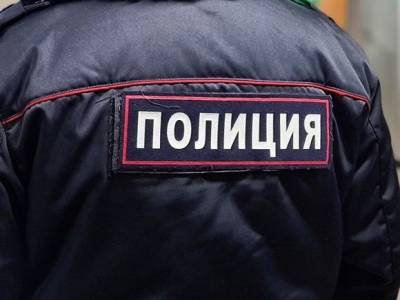 «Четырехлетнего ребенка ударили по лицу»: полиция задержала двоих мужчин из числа напавших на отца с сыном в Новых Ватутинках - rosbalt.ru - Москва - Россия