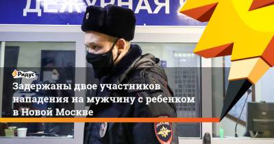 Задержаны двое участников нападения намужчину сребенком вНовой Москве - ridus.ru - Москва