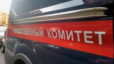 Следователи начали допрос одного из участников драки в Новой Москве - inforeactor.ru - Москва