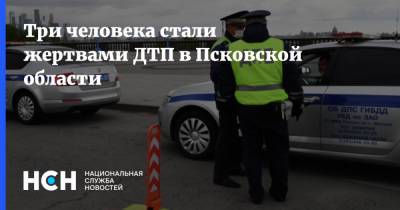 Три человека стали жертвами ДТП в Псковской области - nsn.fm - Россия - Псковская обл.