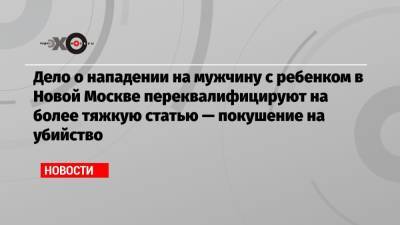 Александр Бастрыкин - Дело о нападении на мужчину с ребенком в Новой Москве переквалифицируют на более тяжкую статью — покушение на убийство - echo.msk.ru - Москва