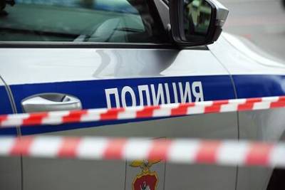 Мать напавших на отца с ребенком в Новой Москве назвала виновных - lenta.ru - Москва