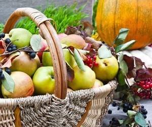 Где осенью найти необходимые витамины: 12 вкусных и полезных продуктов - goodnews.ua