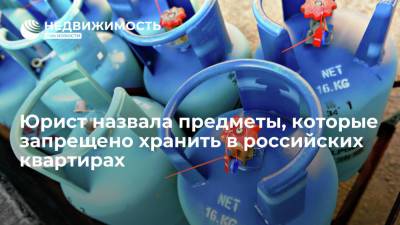 Юрист назвала предметы, которые запрещено хранить в российских квартирах - realty.ria.ru - Москва - Россия