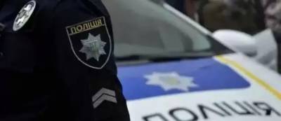 В Львовской области пьяный водитель убегал от полиции и залез на дерево - w-n.com.ua - Львов - Львовская обл.