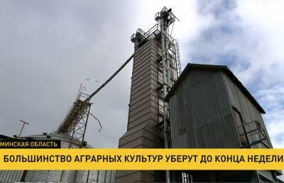 Роман Головченко - Уборочная-2021: большинство аграрных культур уберут до конца недели - ont.by - Белоруссия