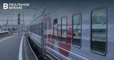 Пассажир поезда «Москва-Адлер» напал на полицейского и заперся в купе - realnoevremya.ru - Москва - Россия - Тула - ЦФО - Адлер