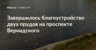 Завершилось благоустройство двух прудов на проспекте Вернадского - mos.ru - Москва - Благоустройство