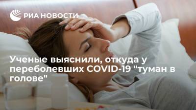 Американские ученые заявили, что COVID-19 напрямую поражает нейроны головного мозга - ria.ru - Москва - США - Лондон - Канада