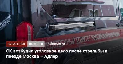 СК возбудил уголовное дело после стрельбы в поезде Москва – Адлер - kubnews.ru - Москва - Тула - Тульская обл. - Адлер - Следственный Комитет