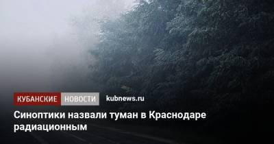 Синоптики назвали туман в Краснодаре радиационным - kubnews.ru - Краснодарский край - Краснодар