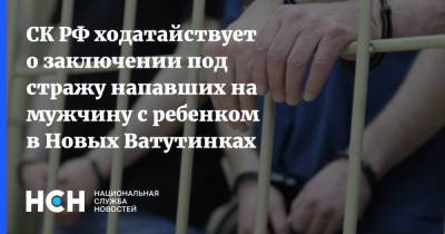 СК РФ ходатайствует о заключении под стражу напавших на мужчину с ребенком в Новых Ватутинках - nsn.fm - Москва - Россия