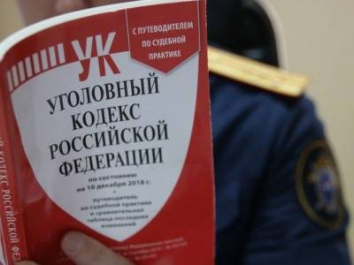 Проведены обыски и очные ставки, планируется арест в суде: СК продолжает расследовать нападение в Новых Ватутинках - rosbalt.ru - Москва