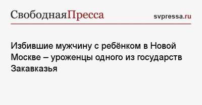 Избившие мужчину с ребёнком в Новой Москве — уроженцы одного из государств Закавказья - svpressa.ru - Москва - Россия - Грузия - Адлер