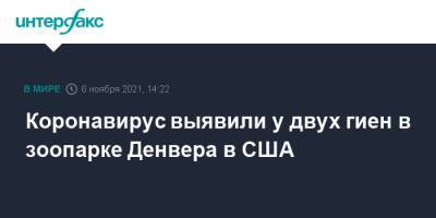 Коронавирус выявили у двух гиен в зоопарке Денвера в США - interfax.ru - Москва - США - шт. Колорадо
