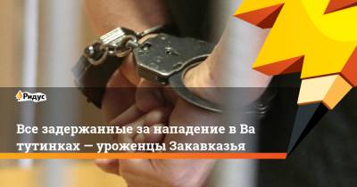 Александр Бастрыкин - Все задержанные занападение вВатутинках— уроженцы Закавказья - ridus.ru - Москва - Азербайджан