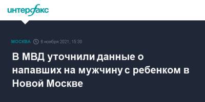 В МВД уточнили данные о напавших на мужчину с ребенком в Новой Москве - interfax.ru - Москва - Россия