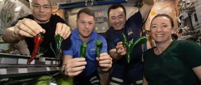 Томас Песке - Меган Макартур - NASA в неділю повертає своїх астронавтів з МКС. Через несправність туалету їм доведеться летіти в підгузках - w-n.com.ua