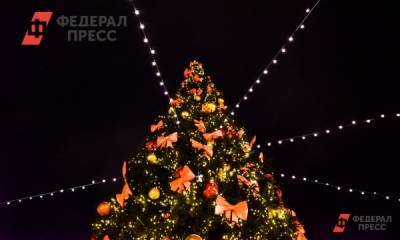 В бесснежной Тюмени устанавливают первую новогоднюю ель - fedpress.ru - Тюмень