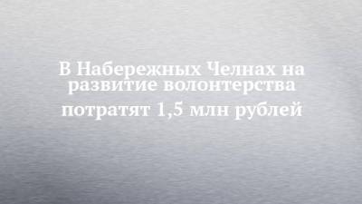 Илья Зуев - В Набережных Челнах на развитие волонтерства потратят 1,5 млн рублей - chelny-izvest.ru - Набережные Челны