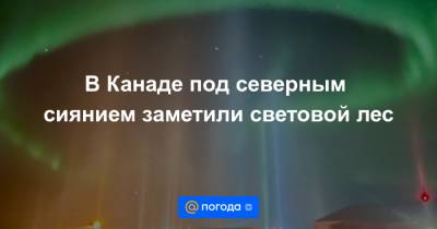 Анна Лысенко - В Канаде под северным сиянием заметили световой лес - news.mail.ru - Россия - Канада
