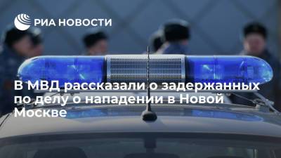 Александр Бастрыкин - МВД: среди задержанных в Новой Москве уроженец ближнего зарубежья и трое граждан России - ria.ru - Москва - Россия