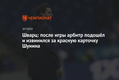 Антон Шунин - Лев Яшин - Владимир Москалев - Павел Левкович - Сандро Шварц - Шварц: после игры арбитр подошёл и извинился за красную карточку Шунина - championat.com - Москва - Краснодар