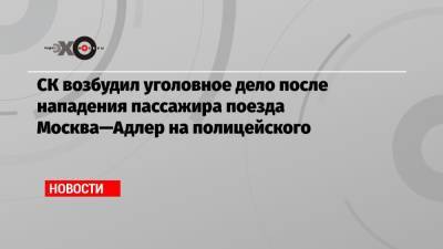 СК возбудил уголовное дело после нападения пассажира поезда Москва—Адлер на полицейского - echo.msk.ru - Москва - Россия - Тула - Адлер