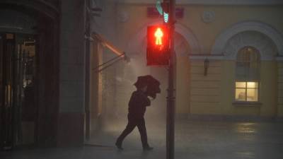 Москвичей предупредили из-за сильного ветра и дождя до 7 ноября - vm.ru - Москва