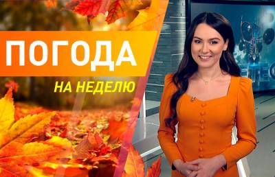 Заморозки и первый снег. Прогноз погоды на неделю с 8 по 14 ноября - ont.by - Украина - Белоруссия - Польша