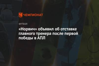 Даниэль Фарк - «Норвич» объявил об отставке главного тренера после первой победы в АПЛ - championat.com