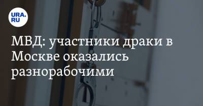 Владимир Васенин - МВД: участники драки в Москве оказались разнорабочими - ura.news - Москва - Россия