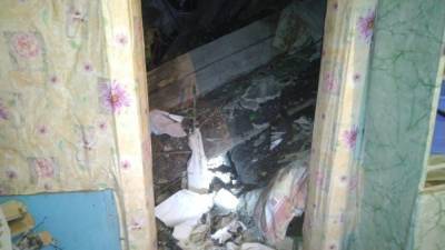 Дом рухнул на пенсионерку под Новосибирском - newdaynews.ru - Новосибирск - Челябинская обл. - Новосибирская обл.