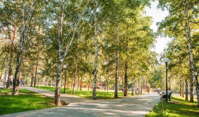 В Тюмени облагородят ряд скверов, улиц и придомовых территорий - nashgorod.ru - Тюмень